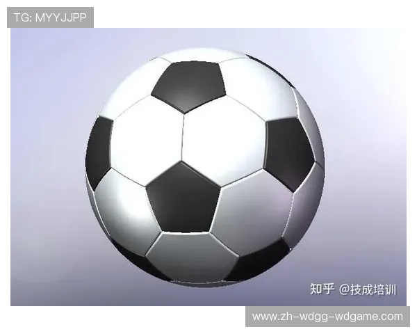 足球规范场理论在足球运动数据处理中的实践案例